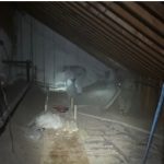 Commercial Building Weatherization